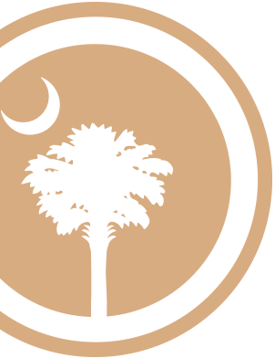South Carolina Logo Overlay